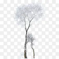 高清创意合成效果白色的大树