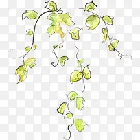 黄绿色手绘夏季藤蔓装饰