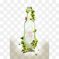 绿色藤蔓心愿瓶玻璃透明