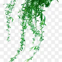 绿色藤蔓植物春天装饰