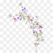 春季唯美彩色藤蔓植物