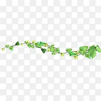 绿叶藤蔓植物装饰