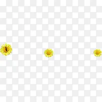 小雏菊淘宝春季促销海报