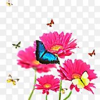 粉色春季促销花朵蝴蝶