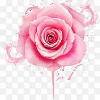 粉色唯美盛开花朵