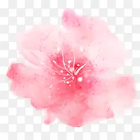 唯美梦幻粉色水彩花朵