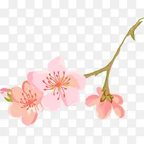手绘粉色花朵