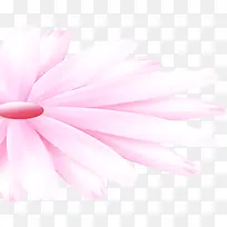 粉色淡雅唯美清新花朵