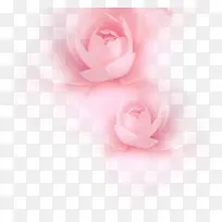 粉色唯美淡雅花朵植物装饰花纹