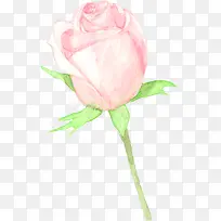 粉色玫瑰唯美婚庆海报