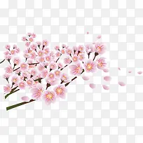 粉色唯美花朵植物树枝