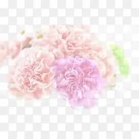 粉色淡雅唯美花朵