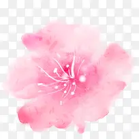 粉色花朵唯美
