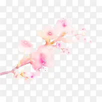 手绘唯美粉色桃花插图