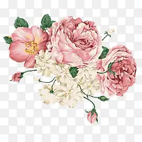 手绘花朵