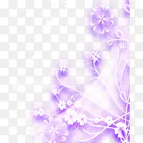 紫色发光婚礼花卉