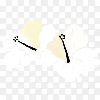 白色小花