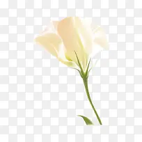香花