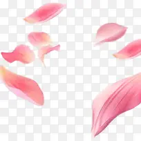 粉红花瓣装饰漂浮