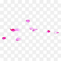 彩绘紫红花瓣漂浮装饰