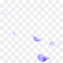 紫色花瓣装饰图案