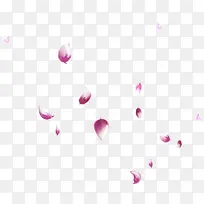 紫红花瓣漂浮装饰