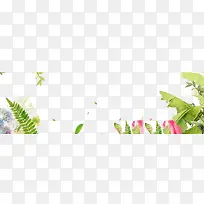 绿叶粉花瓣背景图片