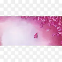 紫色花瓣背景