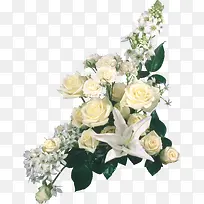一束白色玫瑰花装饰