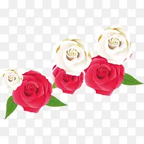 粉色白色玫瑰装饰图案
