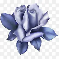 蓝玫瑰装饰蕾丝3