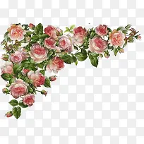 卡通玫瑰花卉相框背景装饰