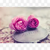 粉色玫瑰艺术装饰