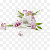 粉色玫瑰花束