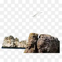 石头海鸥