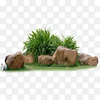 绿色植物石头景观装饰