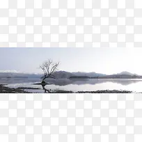 清新湖泊小树风景
