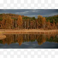 红色秋季树林小湖海报微