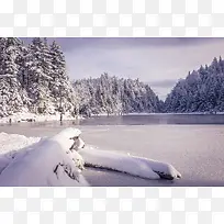 森林冬季湖面雪地