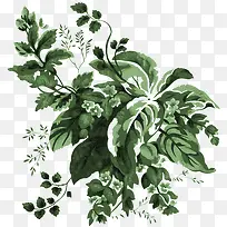 绿色清新花纹植物淡雅