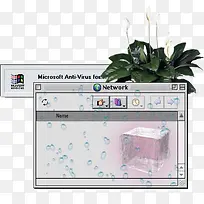 蒸汽波风格植物与电脑窗口