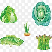 五种蔬菜