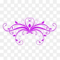 梦幻紫色花纹花朵