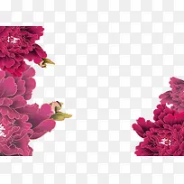 花卉
