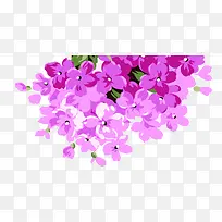 粉色手绘花朵欧式花纹