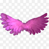 紫红色翅膀装饰图