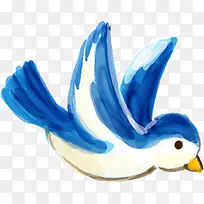 手绘蓝色水彩小鸟插图