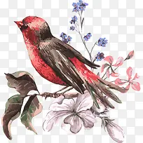 创意手绘水彩红色的小鸟