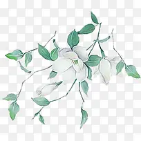 手绘绿叶白花