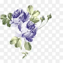 手绘紫色花朵绿叶